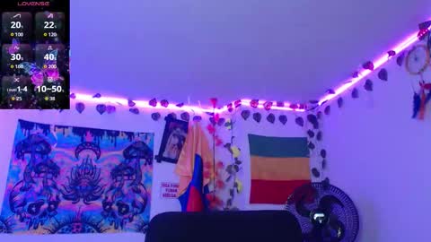 Dakko online show from January 10, 11:04 am