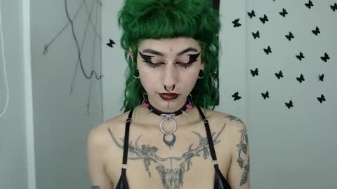 dakota online show from December 12, 2:26 am