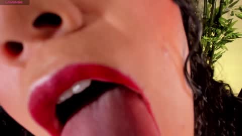 Dakota online show from December 22, 3:11 pm