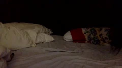 daniellbisous online show from November 29, 9:52 pm