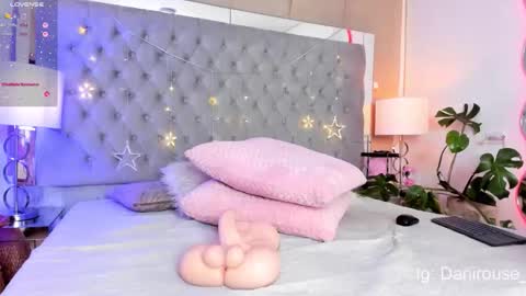 Danirouse online show from November 21, 6:04 am