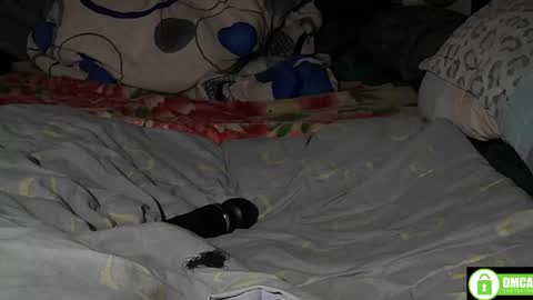 Eli online show from April 13, 8:04 am