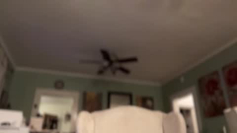 Tori online show from March 30, 6:46 am