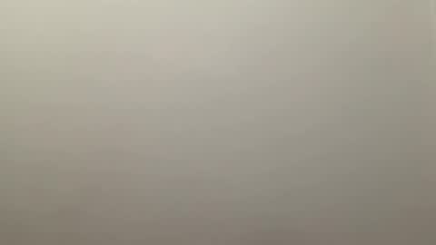 Delivery      online show from December 30, 2:09 am