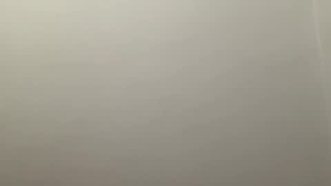 Delivery      online show from January 3, 6:35 pm