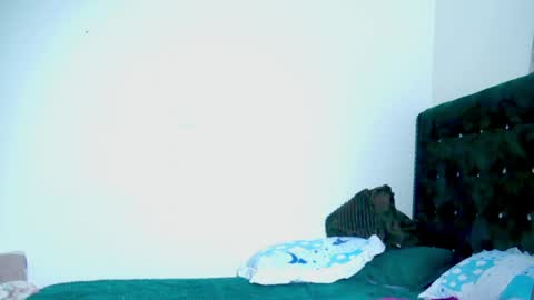 shiba online show from April 18, 5:48 pm