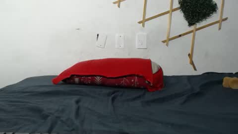 D I A B L A online show from November 14, 10:10 pm