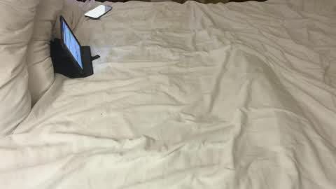 Dielitas online show from April 6, 1:56 pm