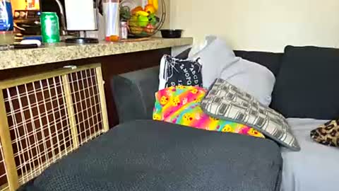 Sofie online show from July 15, 7:51 pm