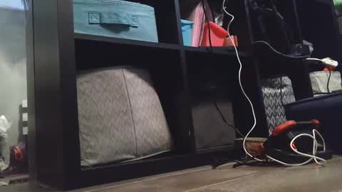 Daisy Wylde online show from December 27, 11:21 pm