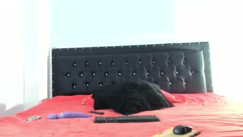 C E L E S T E  online show from September 18, 3:21 pm