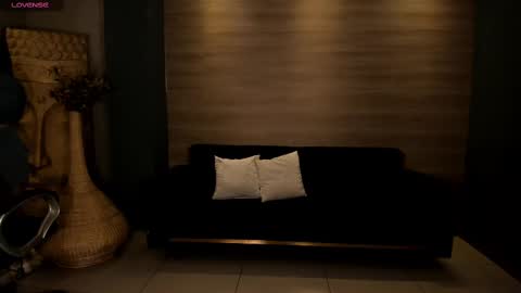  Donna Stonne  online show from February 16, 11:05 am