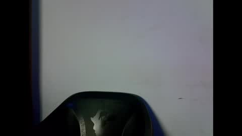 drippingpussy_ online show from October 14, 1:41 am