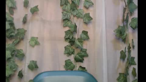 linda online show from September 16, 2:25 pm