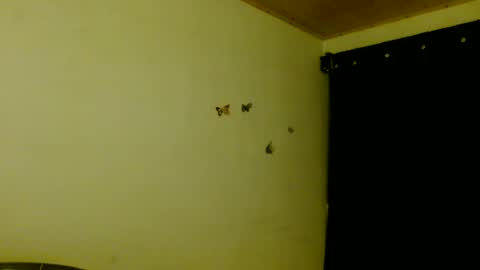 ela_3611 online show from July 3, 3:34 am