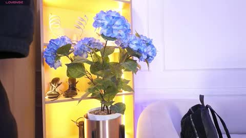 Elasummeer online show from December 20, 11:47 am