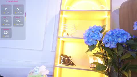 Elasummeer online show from November 13, 11:31 am