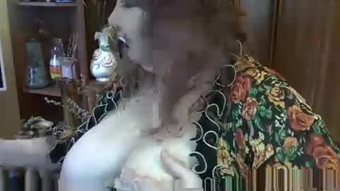 ElenaZed online show from September 10, 11:54 am