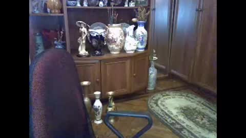 ElenaZed online show from November 22, 3:26 pm