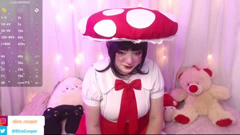 ELICE New Account online show from December 12, 1:17 pm