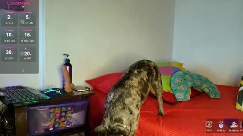 Eliss online show from October 8, 7:24 am