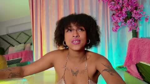 elit noa online show from March 27, 8:26 am