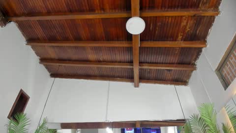 Emily  online show from December 4, 10:50 am