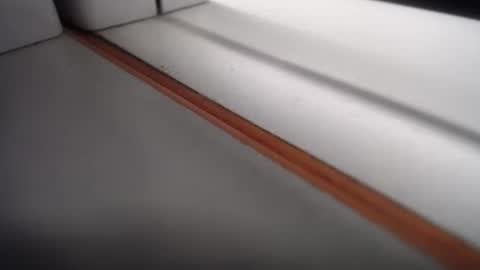 emily hoot1 online show from February 24, 10:35 am