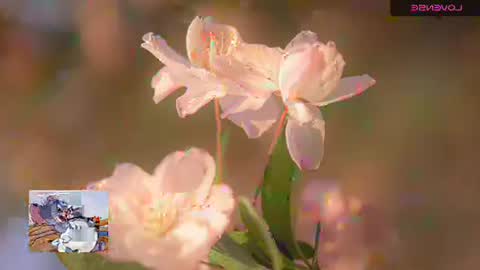 emily hoot1 online show from November 20, 9:43 am