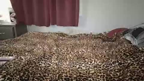 emilysparkss online show from September 24, 3:05 am