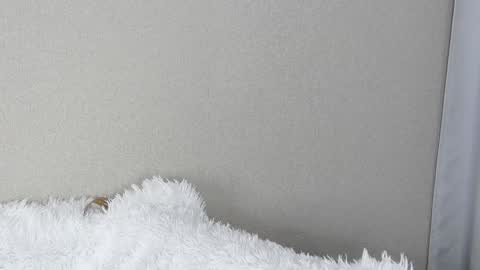 Snapshot of eva_varnerr chatting on January 13, 8:48 pm eva varnerr online show from January 13, 8:48 pm