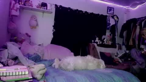 foxbunny_xd online show from June 12, 3:58 am