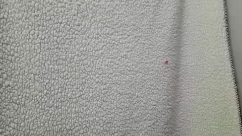 Snapshot of fu338208 chatting on March 12, 4:41 am fu338208 online show from March 12, 4:41 am