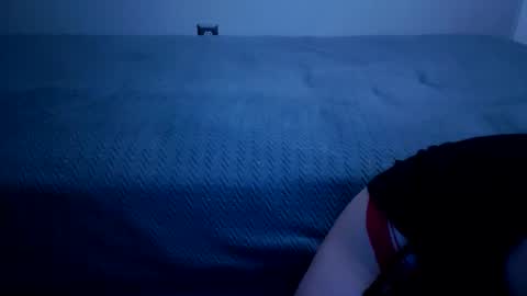 Snapshot of fu338208 chatting on December 5, 12:30 am fu338208 online show from December 5, 12:30 am