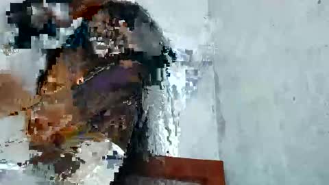 gatita_2605 online show from December 16, 1:55 am