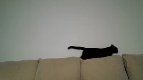 Gerda online show from February 13, 3:46 pm