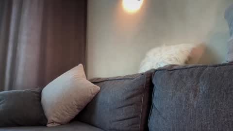 Sabi ------ online show from October 20, 6:49 am