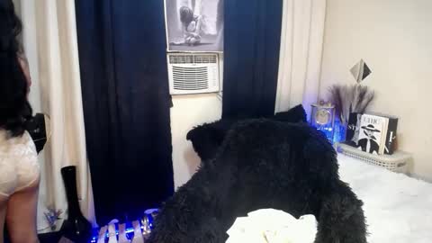 Rica online show from October 14, 5:26 pm