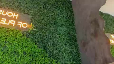 Hanna online show from December 15, 2:33 pm