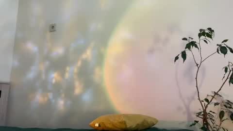 hannah levis  online show from April 5, 2:38 pm