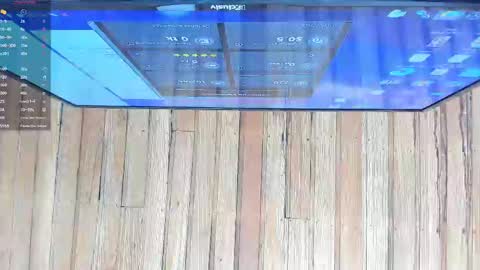 Snapshot of hazel_ross_tcw chatting on March 10, 12:49 pm Hazel online show from March 10, 12:49 pm