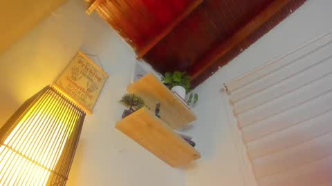 Im Hazel online show from December 28, 10:34 pm