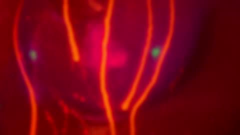 Alina online show from November 22, 5:59 pm