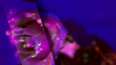 Alina online show from December 2, 6:54 pm