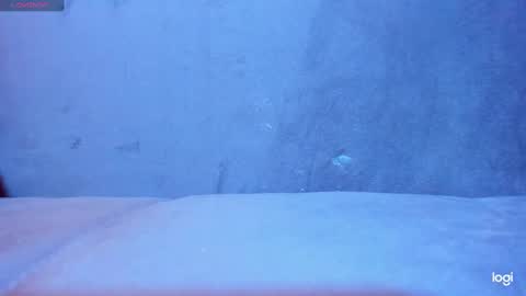 homura_ayanami online show from December 9, 5:40 am