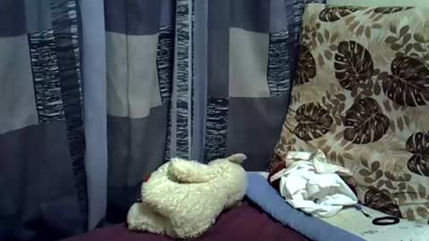 Leila online show from August 1, 5:04 pm
