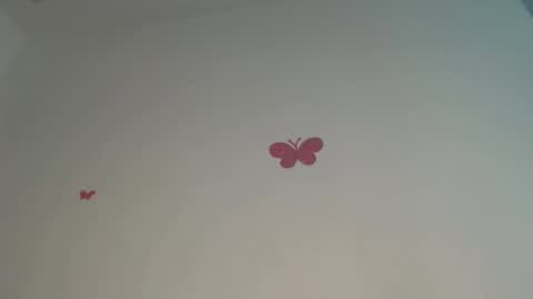 Iris online show from March 31, 9:37 pm