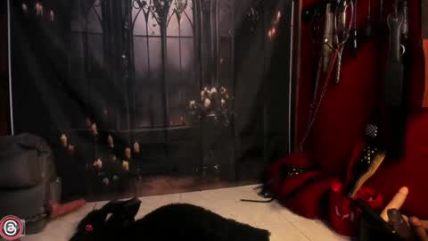 Mia Dahianaa   2  hornydahianax online show from December 30, 3:58 am