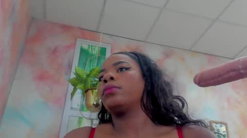 Snapshot of idiris_big chatting on February 24, 1:08 pm Idiris online show from February 24, 1:08 pm