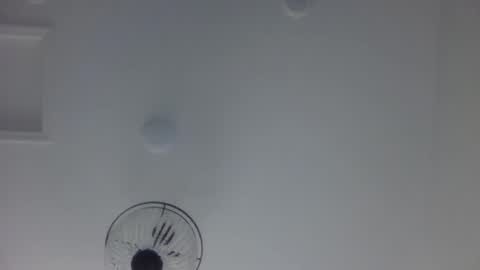 weet exy Cougar online show from April 3, 2:15 pm